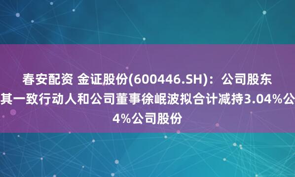 春安配资 金证股份(600446.SH)：公司股东赵剑及其一致行动人和公司董事徐岷波拟合计减持3.04%公司股份