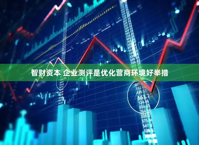 智财资本 企业测评是优化营商环境好举措