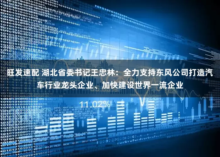 旺发速配 湖北省委书记王忠林：全力支持东风公司打造汽车行业龙头企业、加快建设世界一流企业