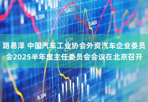 路易泽 中国汽车工业协会外资汽车企业委员会2025半年度主任委员会会议在北京召开
