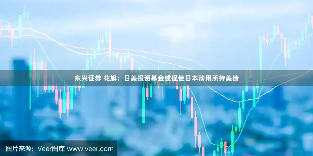 东兴证券 花旗：日美投资基金或促使日本动用所持美债