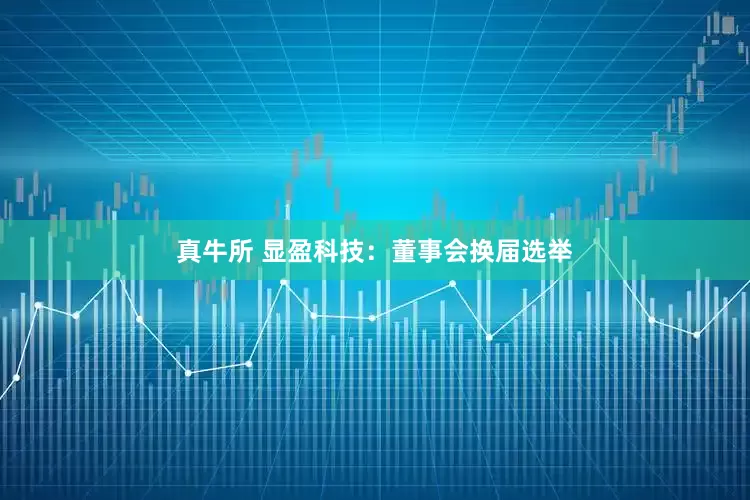真牛所 显盈科技:董事会换届选举