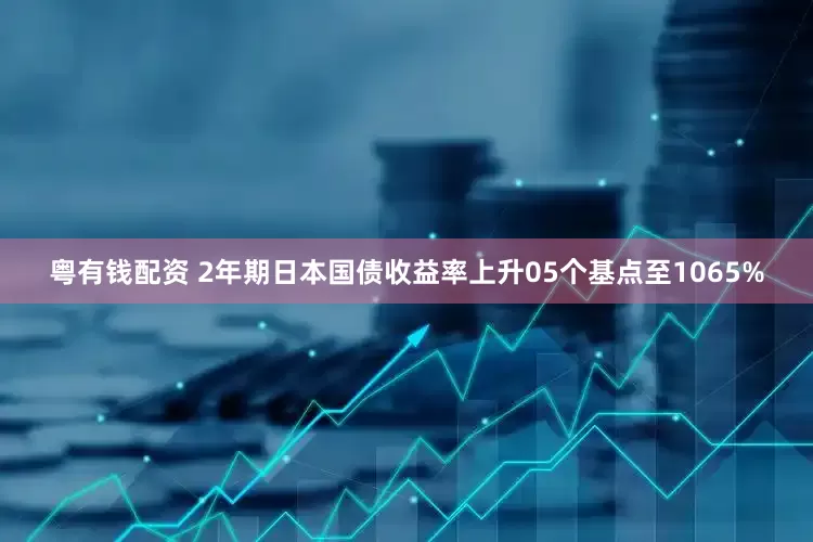 粤有钱配资 2年期日本国债收益率上升05个基点至1065%